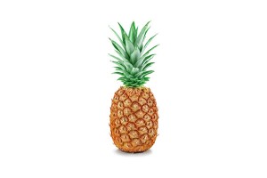 pineapple-facts